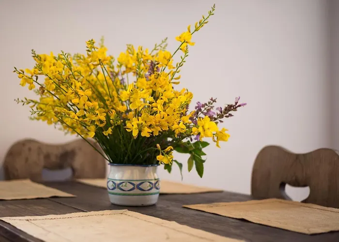 House With Sea View Semesterbostad